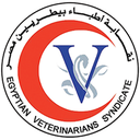 نقابة الأطباء البيطريين: متابعة مستمرة للحالة الصحية لنقيب الأطباء البيطريين الأسبق الدكتور سامي طه