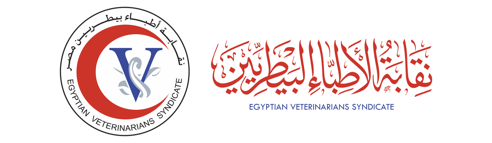 vet-synd